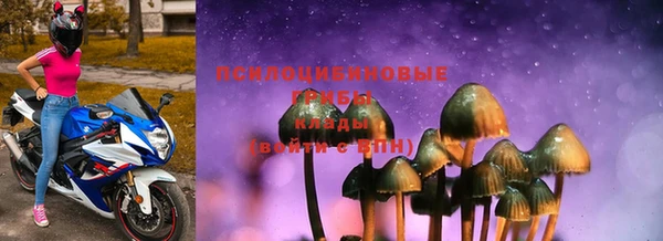 дмт Алзамай