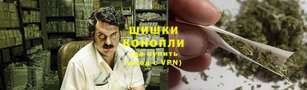 дмт Алзамай