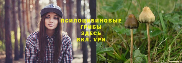 дмт Алзамай