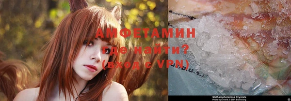 дмт Алзамай